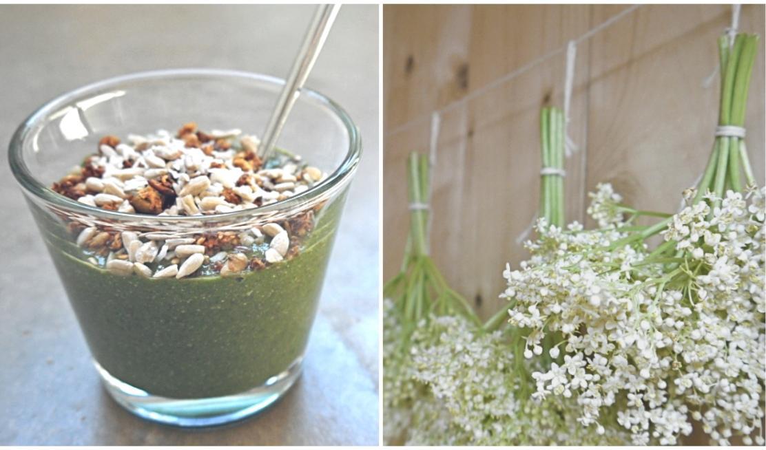 Grön smoothie med kirskål och fläderblommor på tork. Foto: Sandra Junhammar