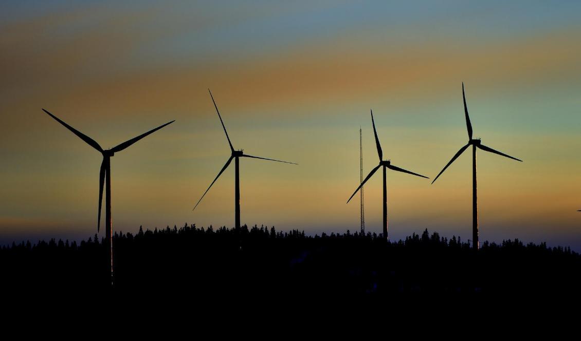 Vindkraften i Sverige ska fördubblas på några år, enligt planerna. Foto: Henrik Montgomery/TT-arkivbild