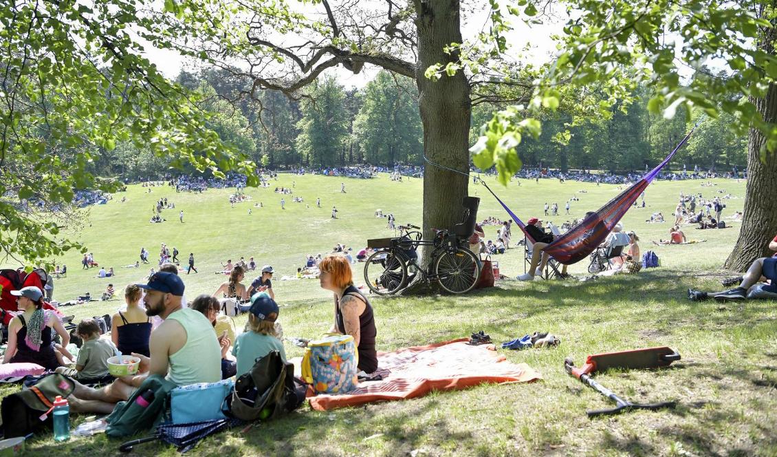 Soligt och varmt nationaldagsfirande i Hagaparken i Stockholm. Foto: Jessica Gow/TT