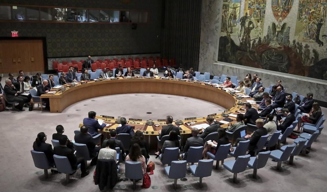 Fem nya länder har valts in till de icke-permanenta platserna i FN:s säkerhetsråd. Arkivbild från ett sammanträde i maj i år. Foto: Bebeto Matthews/AP/TT