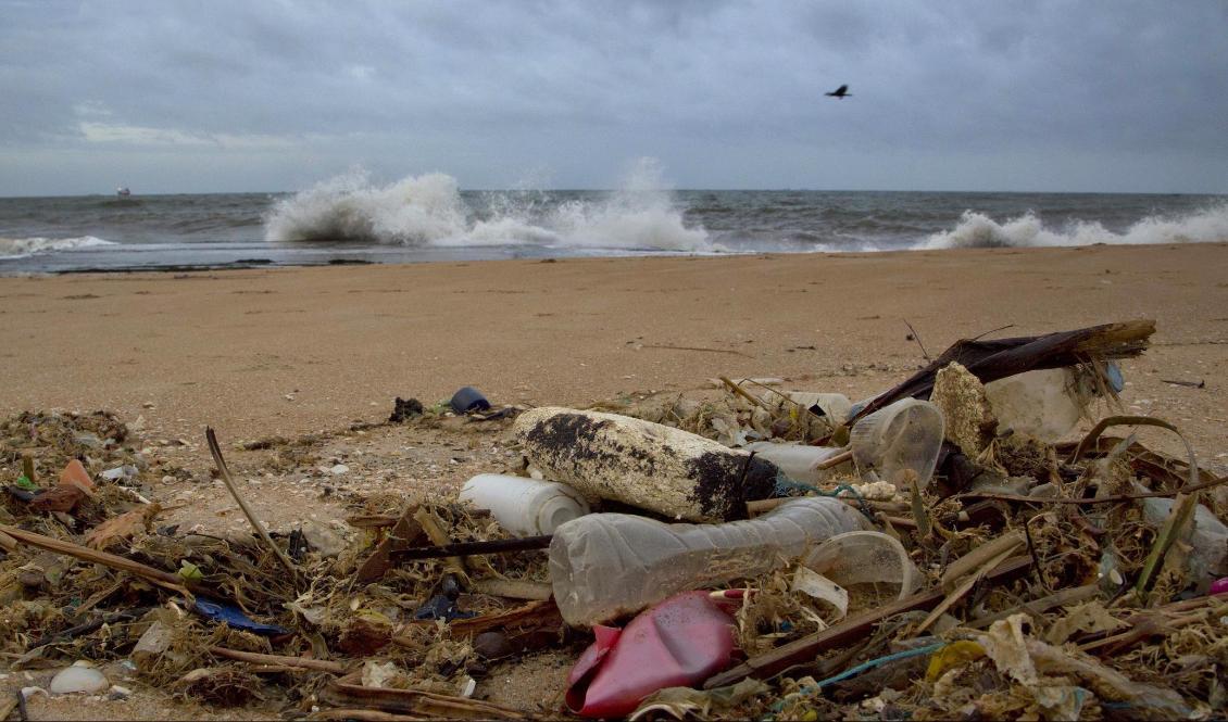 Uppsköljd plast på en strand i Sri Lanka. Nu vill Kanada minska mängden avfall som hamnar i havet. Foto: Gemunu Amarasinghe/AP/TT-arkivbild