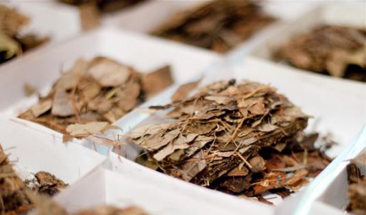 Hemligheterna bakom konsten att blanda kinesiska örtmediciner har förts vidare till utvalda lärlingar i tusentals år och har aldrig offentliggjorts. Foto: Amal Chen/Epoch Times