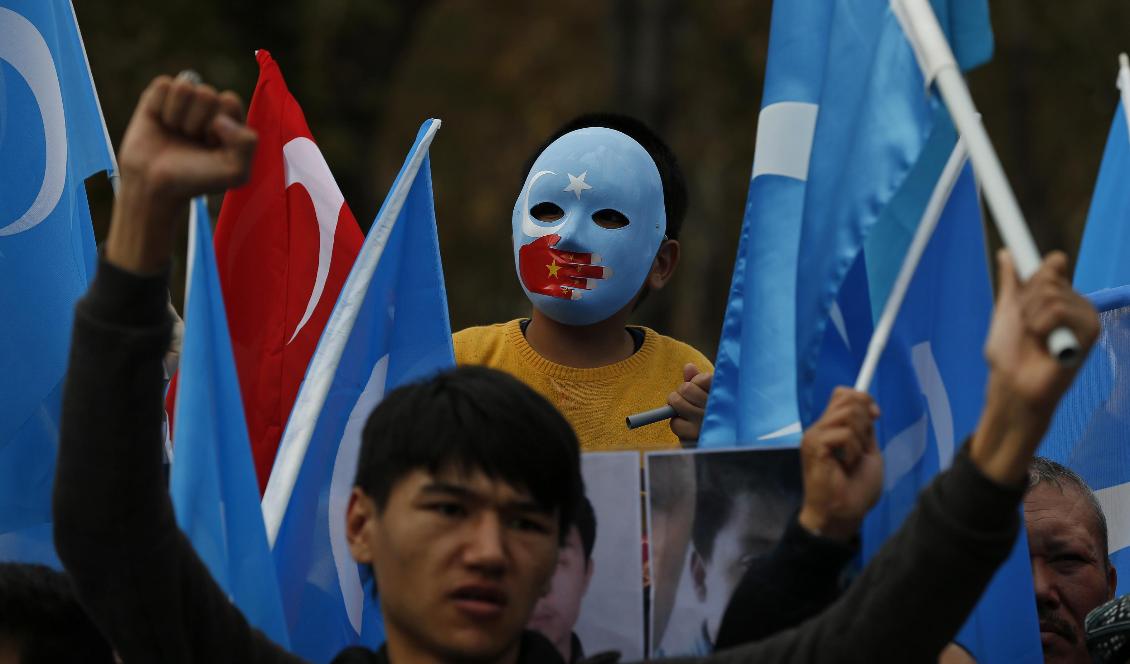 Uigurer under en protest i den turkiska storstaden Istanbul i fjol. Foto: Lefteris Pitarakis/AP/TT-arkivbild
