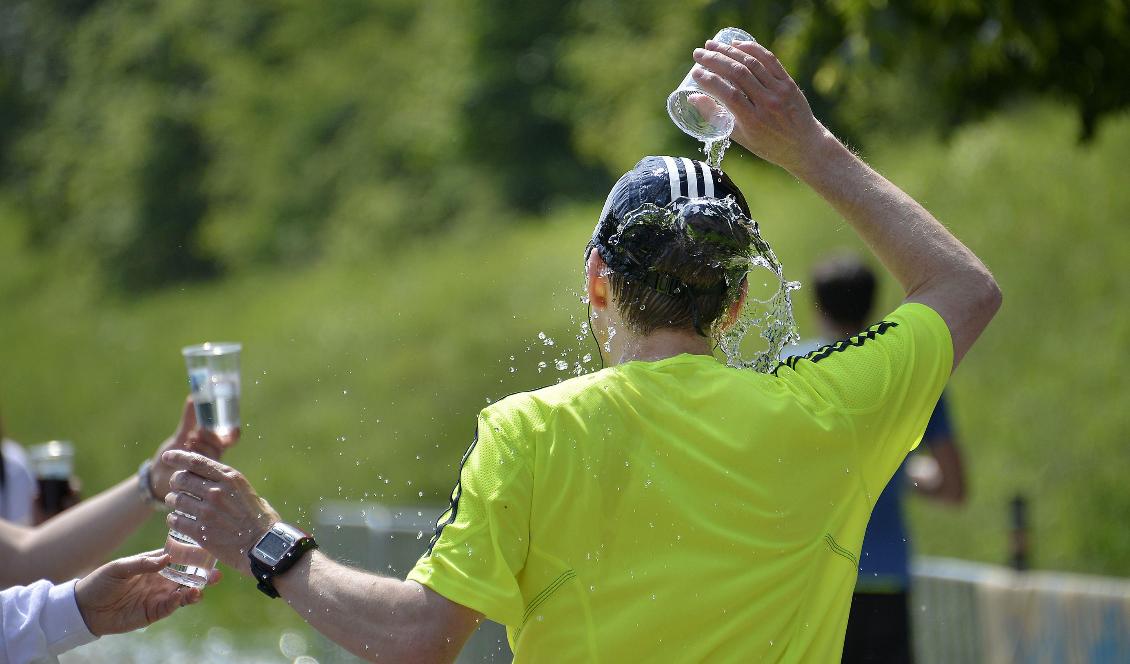 Viktigt att hålla sig sval i värmen. Foto: Martin Meissner/AP/TT-arkivbild