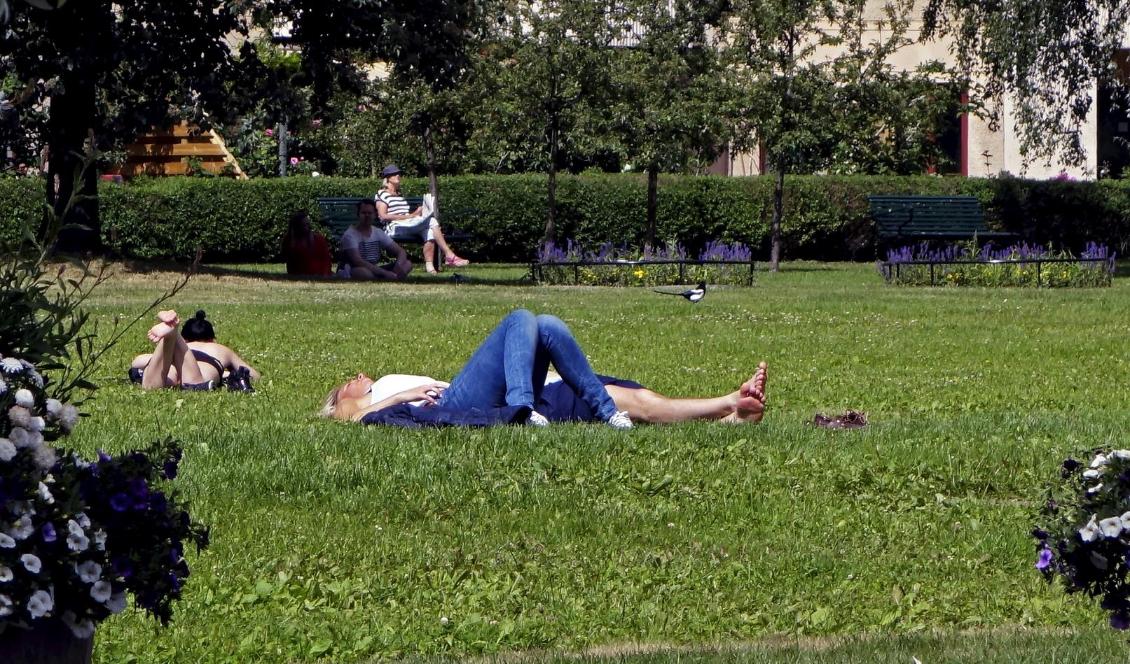 Högsommarvärmen kommer tillbaka i veckan. Foto: Hasse Holmberg/TT-arkivbild