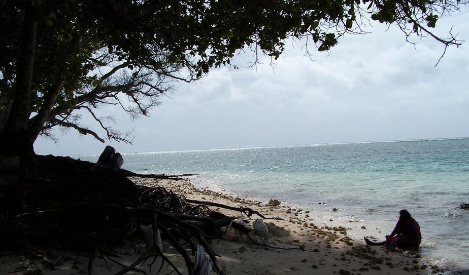 Klimatfonden ska hjälpa till att motverka klimatförändringar. Arkivbild från Marshallöarna, en av de platser som är mest utsatta. Foto: Rusty Middleton/AP/TT