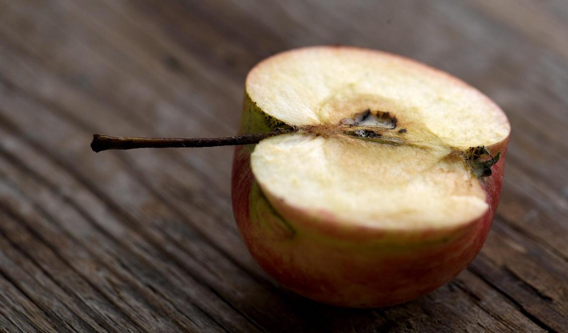 Kärnor och skal innehåller extra mycket nyttiga bakterier. Foto: Janerik Henriksson/TT-arkivbild