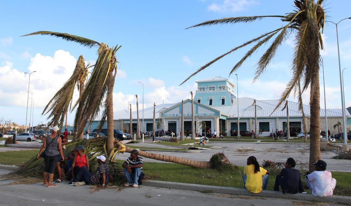 Folk sitter mellan sönderslitna palmer utanför Marsh Harbours flygplats i norra Bahamas. Foto: Gonzalo Gaudenzi/AP/TT
