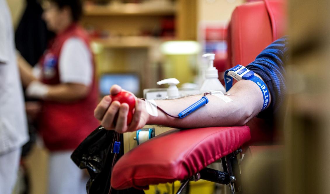 I Göteborg är det framför allt blodgrupp O+ och A+ som efterfrågas. Foto: Marcus Ericsson/TT-arkivbild