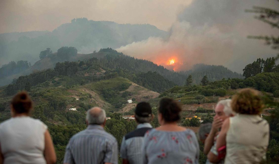 Invånare på Gran Canaria tittat på elden som härjar nära Montaña Alta. Foto: Desiree Martin/AP/TT