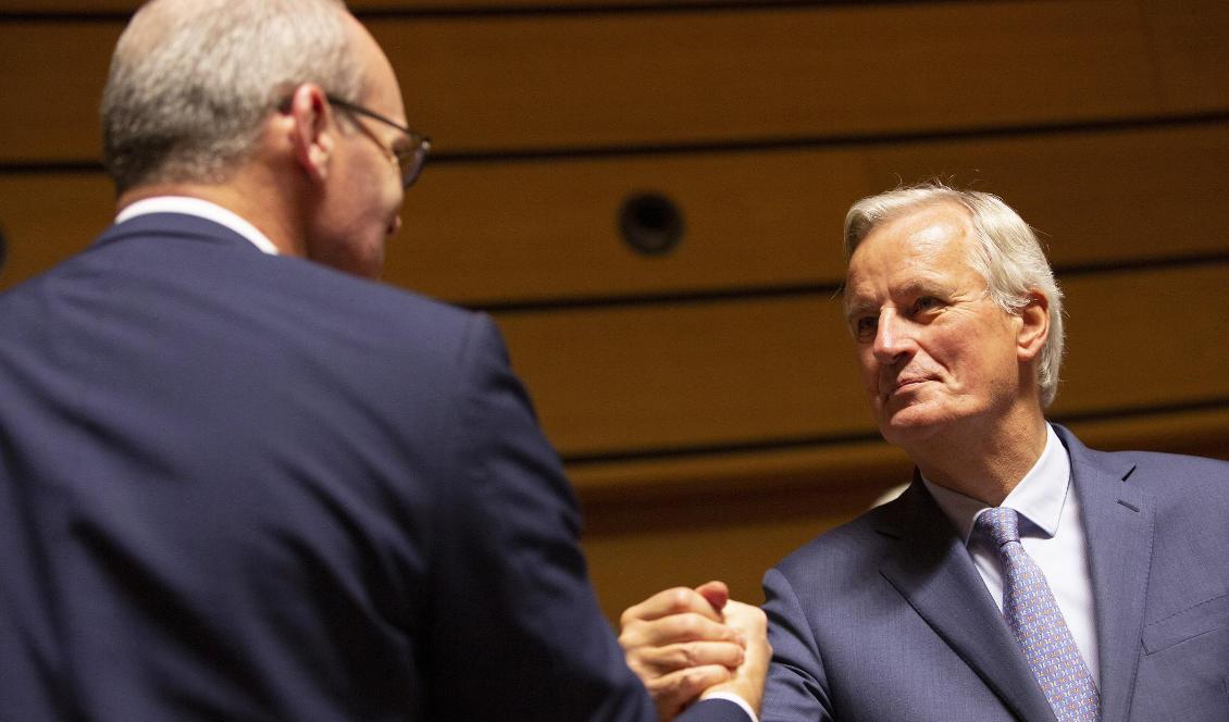 EU:s brexitförhandlare Michel Barnier (till höger) skakar hand med Irlands utrikesminister Simon Coveney på tisdagens EU-möte i Luxemburg. Foto: Virginia Mayo/AP/TT