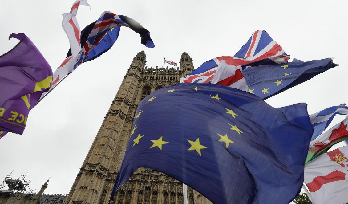Brittiska flaggor och EU-flaggor kämpar om utrymmet utanför det brittiska parlamentet i London. Foto: Kirsty Wigglesworth/AP/TT-arkivbild