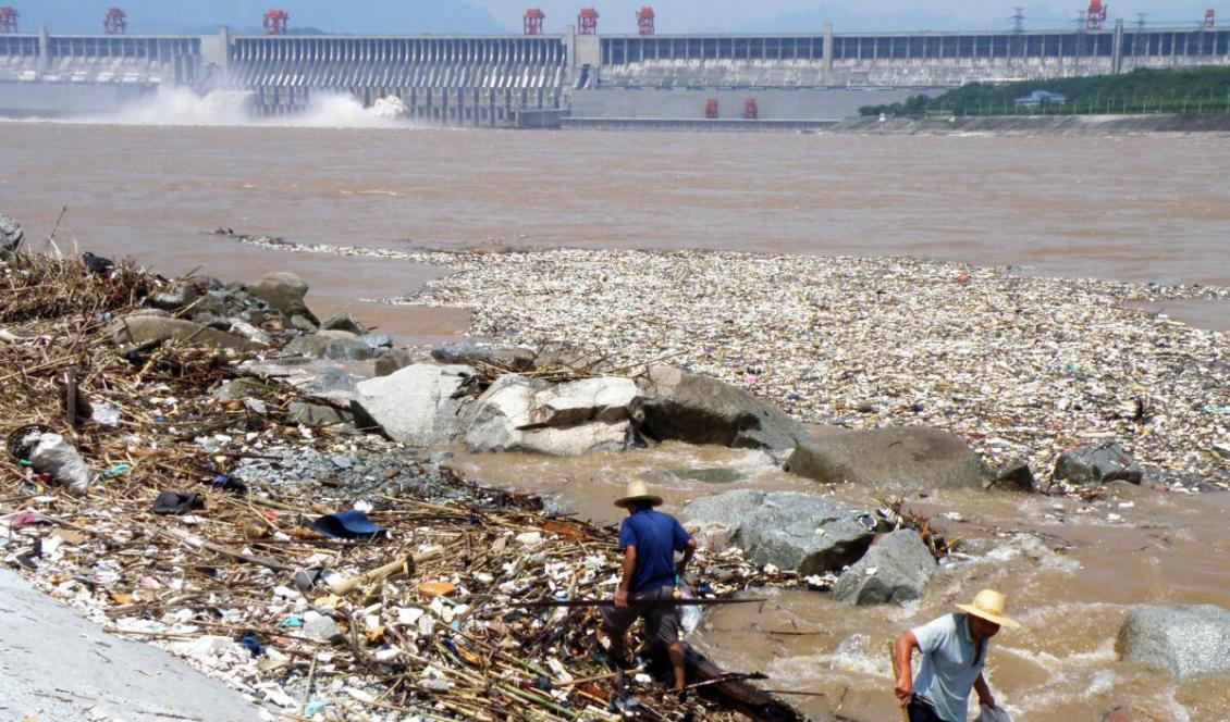 Två arbetare röjer upp skräp längs stranden av Yangtze-floden nära "Three Gorges Dam" i Yichang, i centrala Kinas Hubei-provins den 1 augusti 2010. Lager av skräp i Yangtzefloden hotade att proppa igen Kinas massiva hydroelektriska damm, rapporterade statliga medier den 2 augusti. (China Out/STR/AFP/Getty Images)
