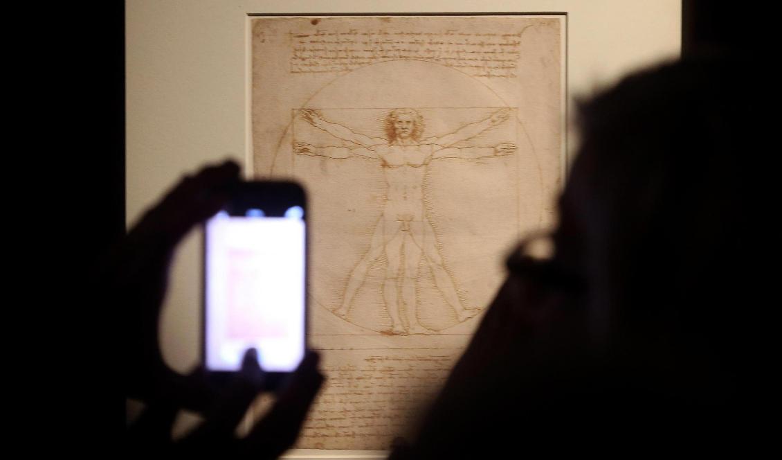 Leonardo da Vinci's "Den vitruvianske mannen". Foto: Matteo Bazzi/AP/TT-arkivbild