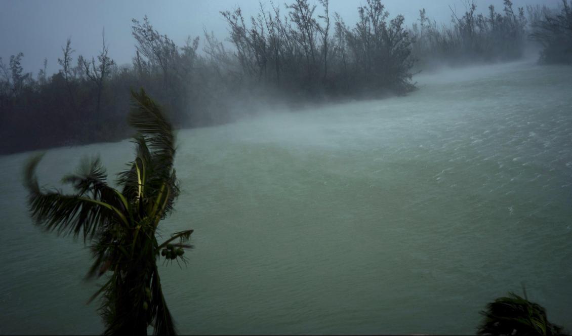 Dorians vindar piskar upp vatten i Freeport på Grand Bahama på måndagen. Foto: Ramon Espinosa/AP/TT