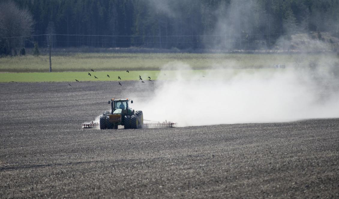 Det ekologiska jordbruket i Sverige ökar. Foto: Fredrik Sandberg/TT-arkivbild