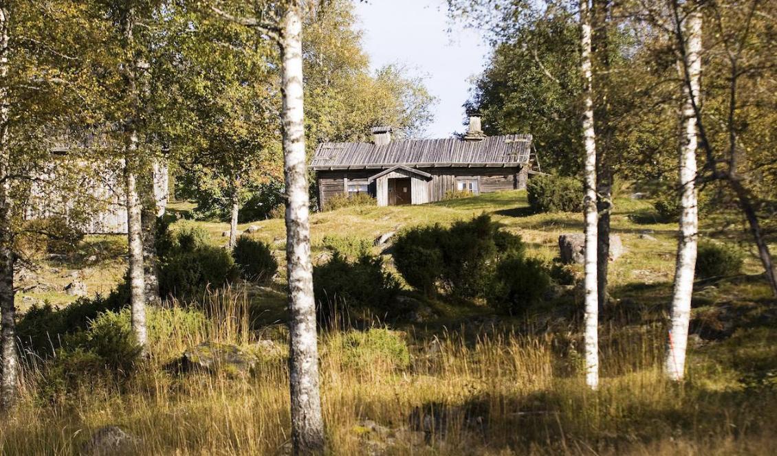 Ritamäki i Lekvattnet, norra Värmland. En av de bevarade finngårdar som finns med i den avsiktsförklaring om att göra Finnskogen till världsarv som lämnats in av Länsstyrelsen i Värmland. Foto: Värmlands Museum/Lars Sjöqvist