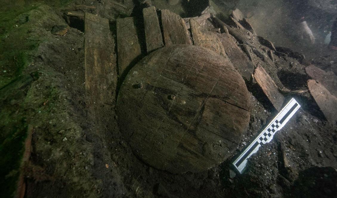 Tunnor som hittats vid utgrävningen vid det danska 1400-talsvraket Gribshunden utanför Ronneby. Foto: Brett Seymour/Gribshunden