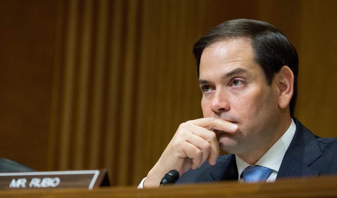 Senatorn Marco Rubio i Capitol Hill i Washington den 20 juli 2017. Foto: Tasos Katopodis/Getty Images for Kelly Craft