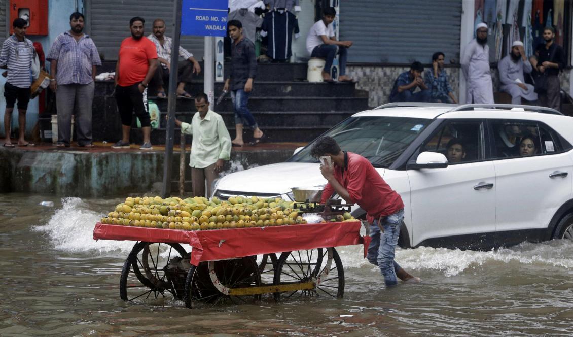 En fruktförsäljare drar sin vagn längs en vattenfylld gata i Bombay i Indien i början av juli. Monsunregnen har orsakat omfattande översvämningar i Indien. Foto: Rajanish Kakade/AP/TT
