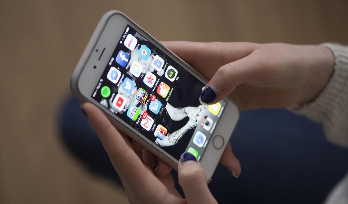 Fler är oroliga att storföretag som Google och Facebook ska inkräkta på den personliga integriteten. Foto: Fredrik Sandberg/TT-arkivbild