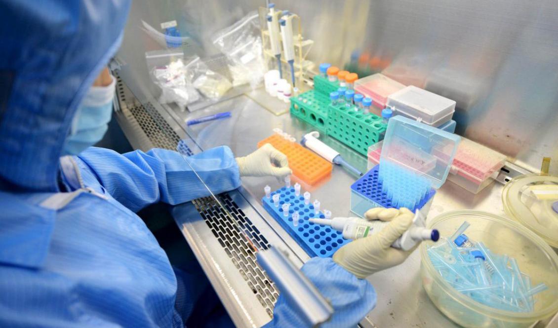 En arbetare i ett laboratorium hos Shenzhen Puruikang Biotechnology Co., Ltd. den 26 augusti, 2014 i Shenzhen, Kina. Foto: VCG/VCG via Getty Images