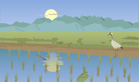 Plötsligt förstod Zheng hur alla tidigare händelser varit ett test för honom. Nu var det försent.