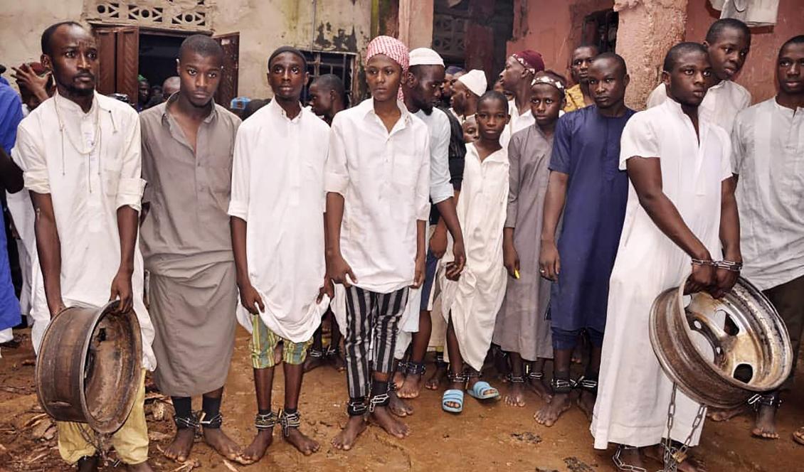 Flera hundra pojkar och män har befriats ur fångenskap på en skola i norra Nigeria. Bilden är från den 26 september. Foto: AFP/TT