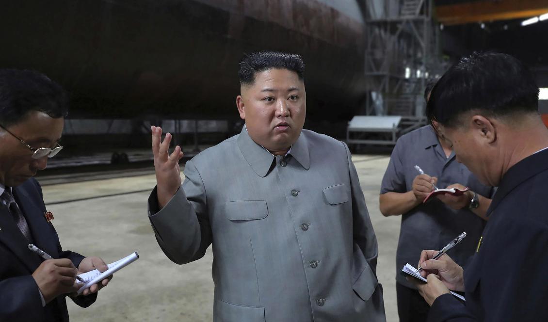 Nordkoreas ledare Kim Jong-Un. Foto: KCNA/AP/TT
