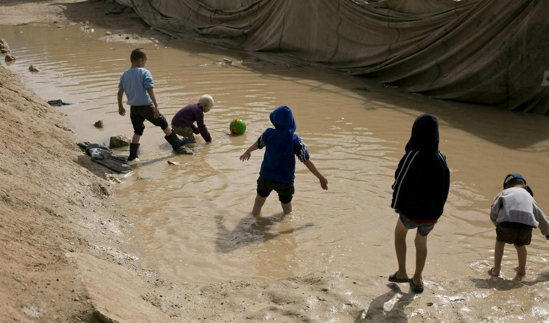 Barn leker i lägret al-Hol i Syrien. Foto: Maya Alleruzzo/AP/TT-arkivbild
