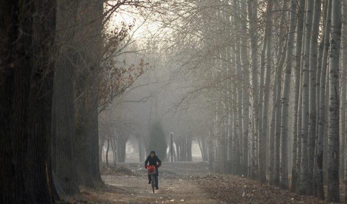 En cyklist i Kina. Foto: Frederic J. Brown/AFP/Getty Images