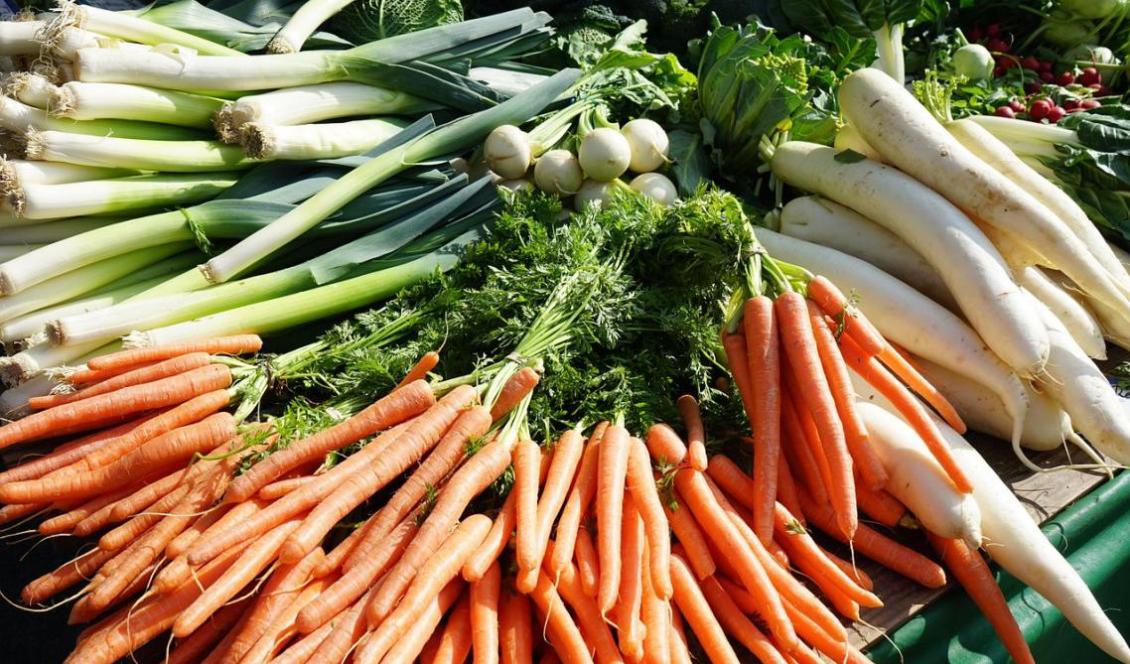 Nu är det tid att njuta av säsongens rotfrukter. Foto: Hans Braxmeier