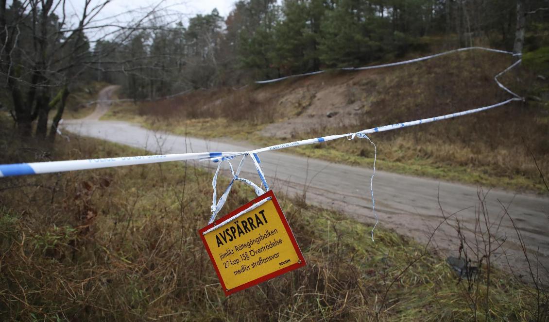Ett skogsområde utanför Uddevalla spärrades av i samband med sökandet efter den 17-åriga flickan. Foto: Adam Ihse/TT