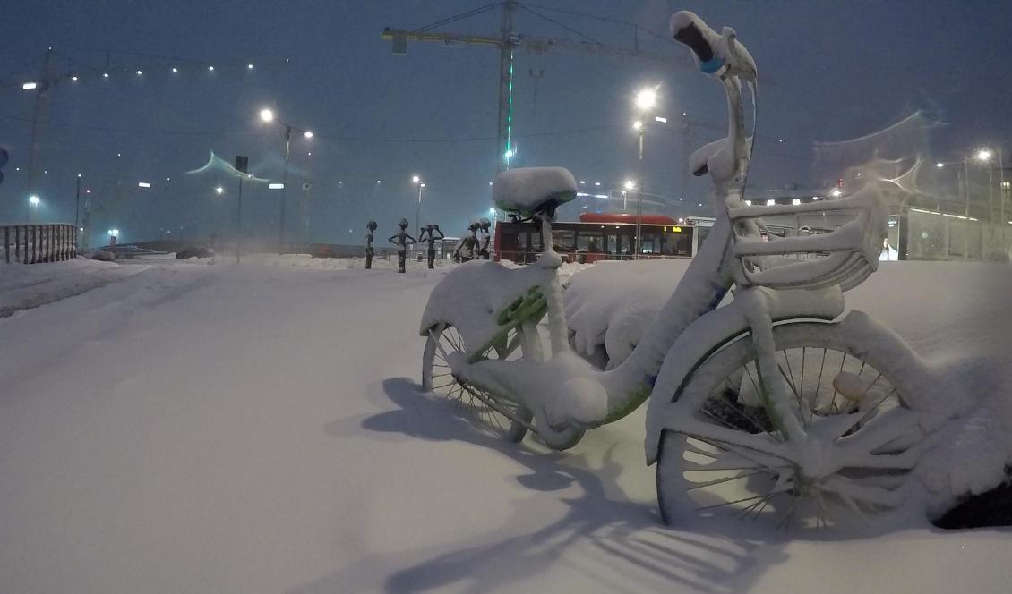 Natten till fredag väntas 5-10 centimeter snö i södra Svealand och norra Götaland. Foto: Marko Säävälä/TT-arkivbild