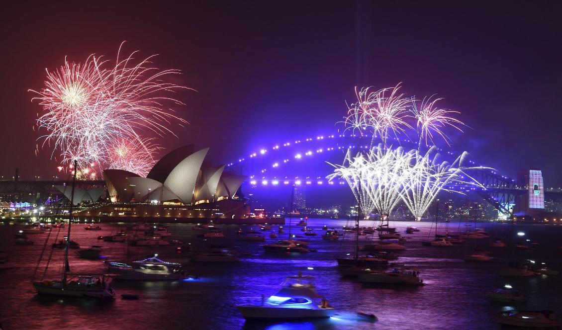 Vid operahuset i Sydney skjuts nyårsfyrverkerier redan innan klockan slagit midnatt. Foto: Mick Tsikas/AP/TT