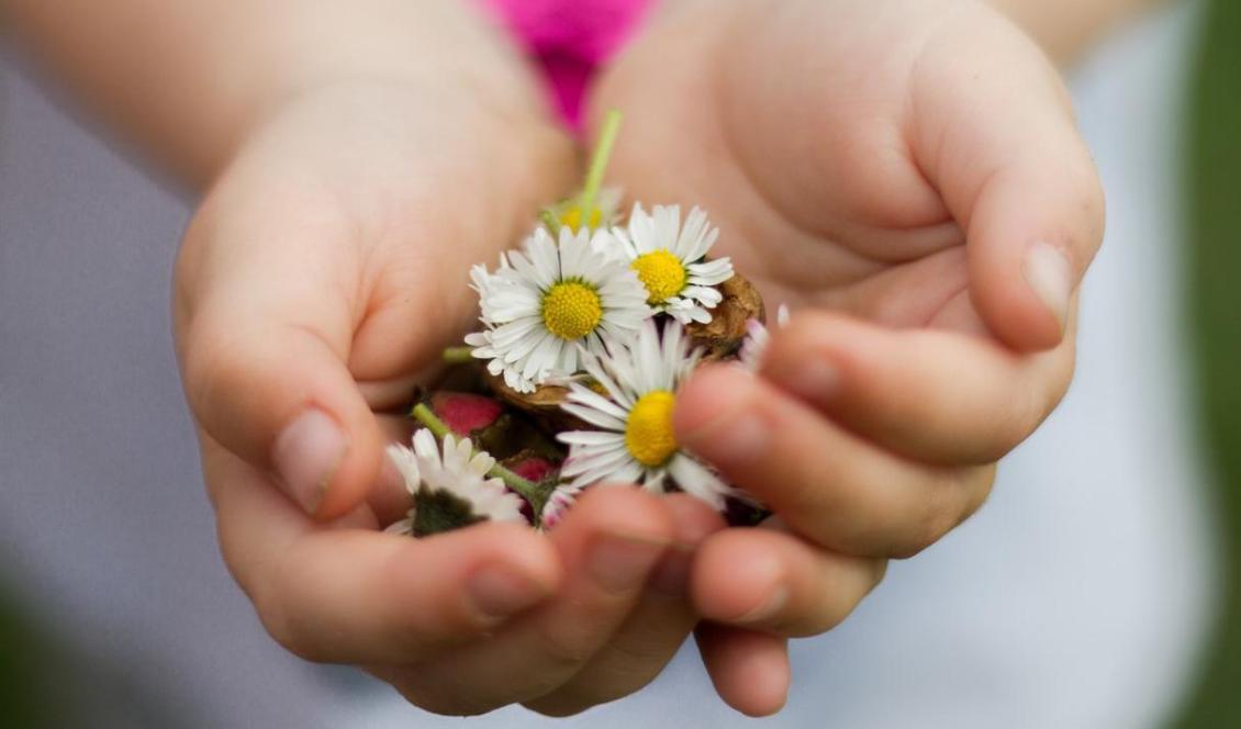 Om du betonar att själv vara vänlig är det mer troligt att du hittar det i världen.