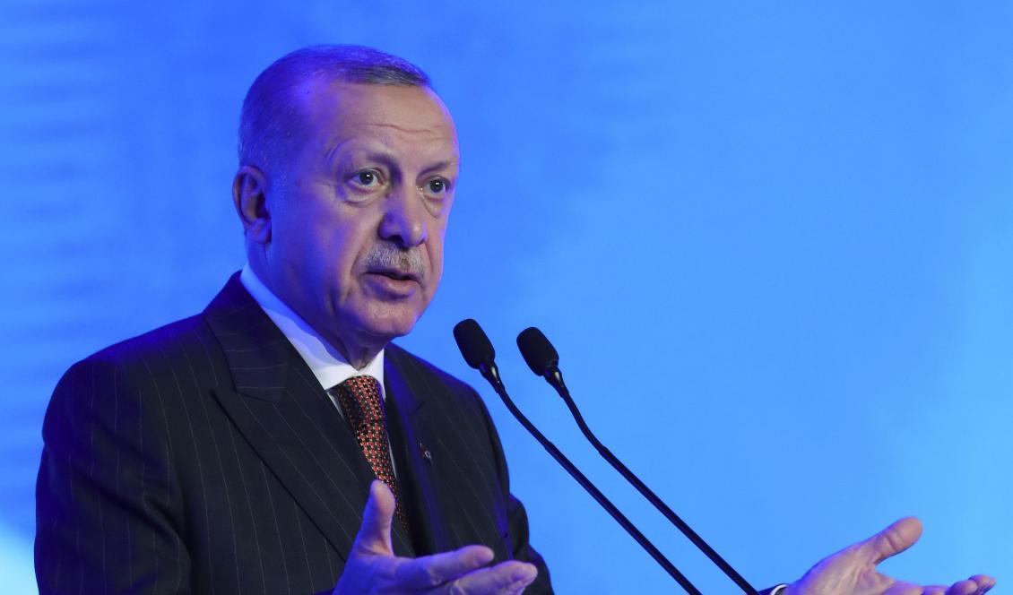 Turkiets president Recep Tayyip Erdogan varnar andra länder i Europa för att en flyktingväg liknande den hösten 2015 är på väg. Foto: AP/TT-arkivbild