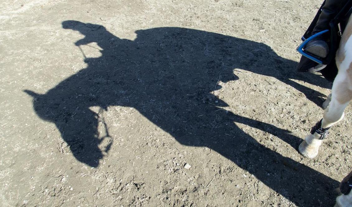Ryttare på häst. Genrebild. Foto: Gorm Kallestad/NTB/TT