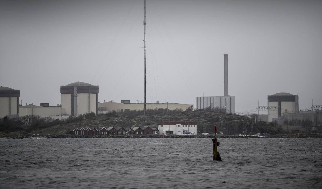 
Reaktor 2 i Ringhals kärnkraftverk stängdes av i december efter nästan 45 års drift. Foto: Björn Larsson Rosvall/TT-arkivbild                                                