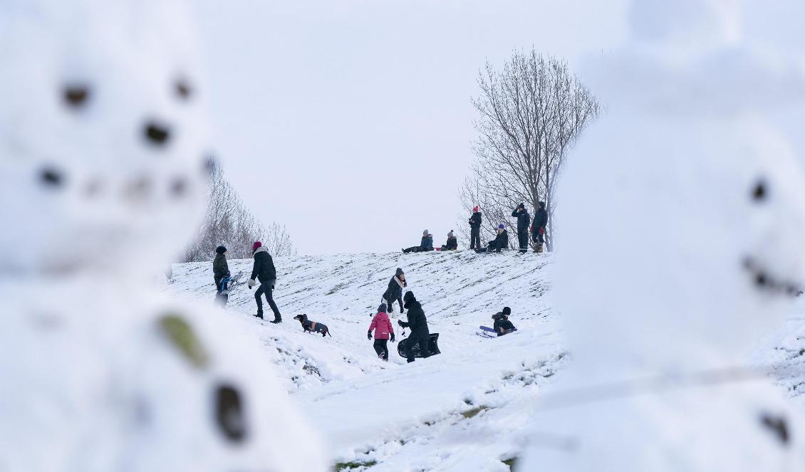 Förra året kom vintern plötsligt till södra Sverige på lillejulafton. Foto: Johan Nilsson/TT-arkivbild