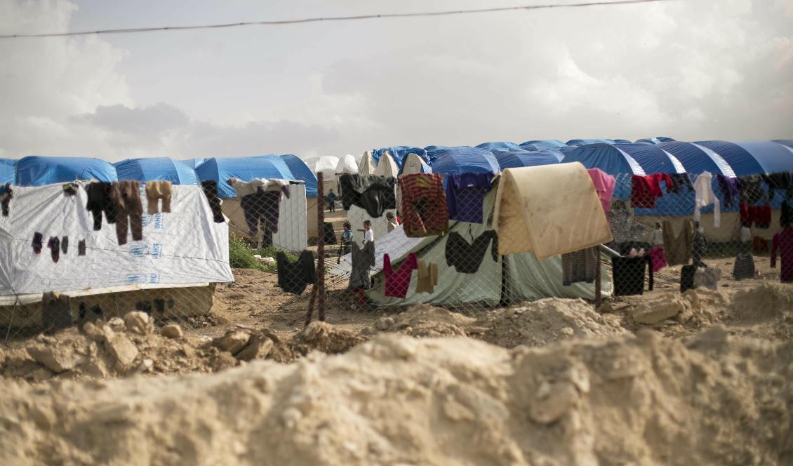 Somalias EU-ambassadör Ali Said Faqi säger att landet planerar för att ta hem kvinnor och barn från al-Hol-lägret i Syrien. Foto: Maya Alleruzzo/AP/TT-arkivbild