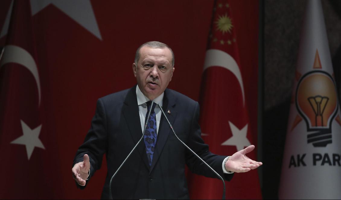 Turkiets president Recep Tayyip Erdogan får parlamentets stöd att sända militär hjälp till Libyens enhetsregering i kampen mot upprorsgrupper. Foto: AP/TT