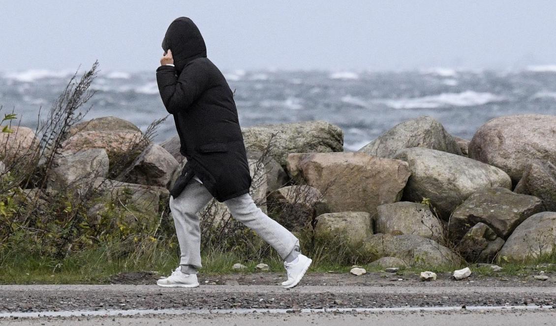 SMHI klass 1-varnar för mycket hårda vindar i delar av norra Sverige. Foto: Johan Nilsson/TT-arkivbild