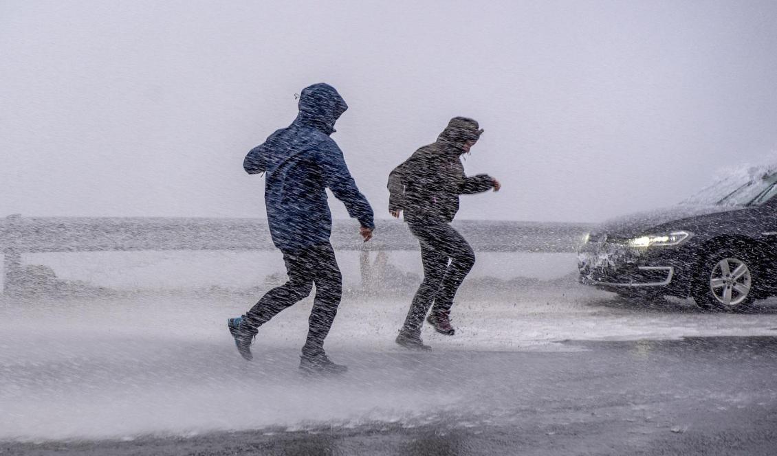 Risk att blåsa bort i fjällen – SMHI varnar för riktigt hårda vindar. Foto: Kent Even Grundstad/NTB scanpix/TT-arkivbild