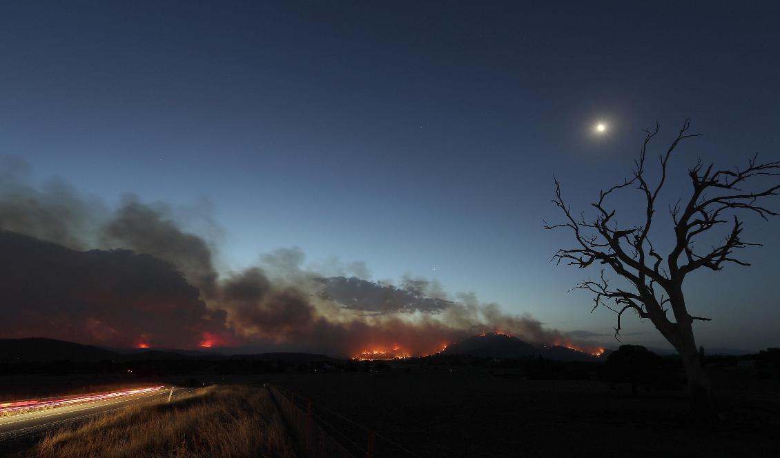 Clear Range-branden har vuxit i styrka, till följd av höga temperaturer. På bilden syns den söder om huvudstaden Canberra på fredagskvällen. Foto: Rick Rycroft/AP/TT