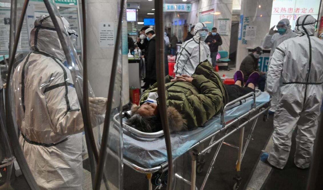 Medicinsk personal i skyddsdräkt anländer med en person till Wuhan Red Cross Hospital, Wuhan, Kina, den 25 januari 2020. Foto: Hector Retamal/AFP via Getty Images