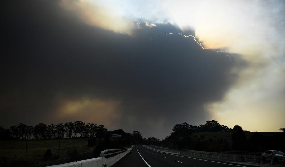 Rök från Currowan-branden syns över staden Nowra i den australiska delstaten New South Wales tidigare i år. Foto: Tracey Nearmy/Reuters/TT