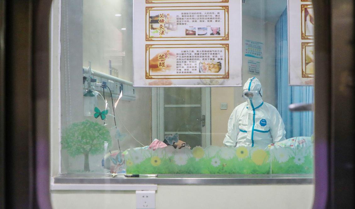 En läkare arbetar på en isoleringsavdelning på ett sjukhus i Wuhan i Kina där coronavirusutbrottet startade, den 30 jan. 2020. Foto: STR/AFP via Getty Images