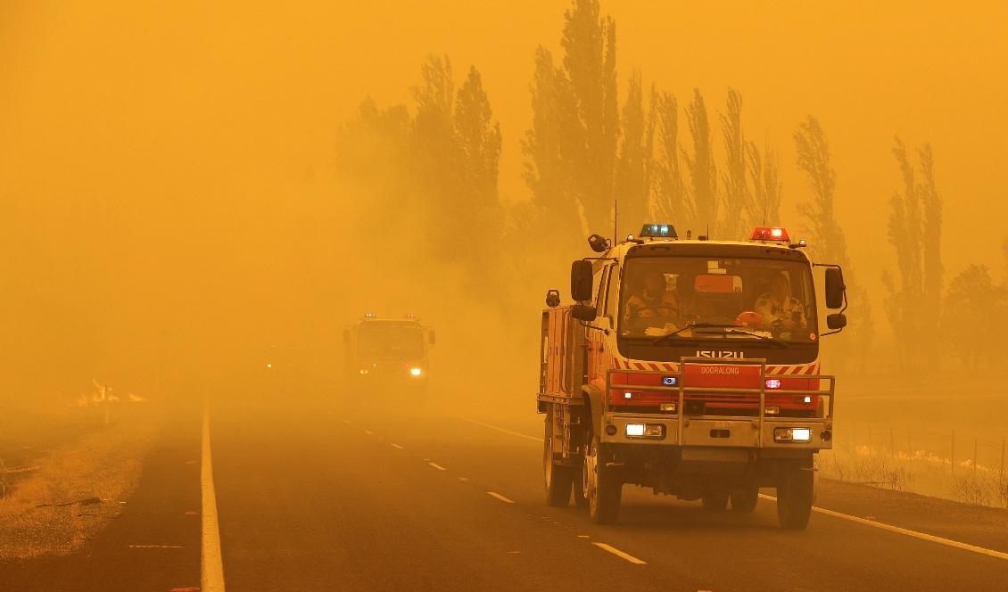 En gräsbrand i Bumbalong, söder om Australiens huvudstad Canberra, i början av februari. Foto: Rick Rycroft/AP/TT
