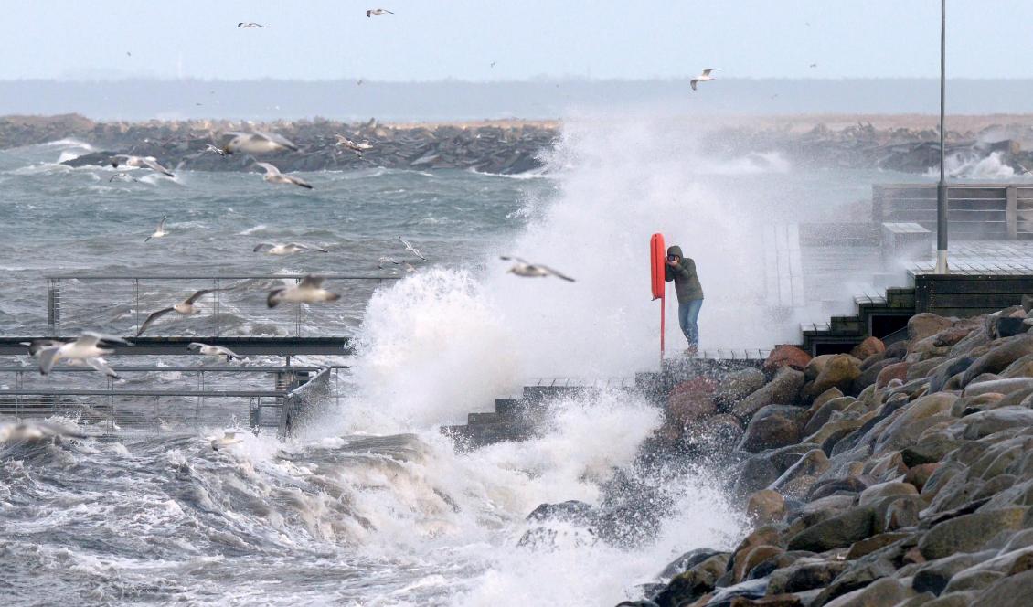 SMHI har utfärdat riskvarningar för stormbyar i stora delar av södra Sverige från sent på söndag kväll och under natten till måndag. Foto: Johan Nilsson/TT-arkivbild